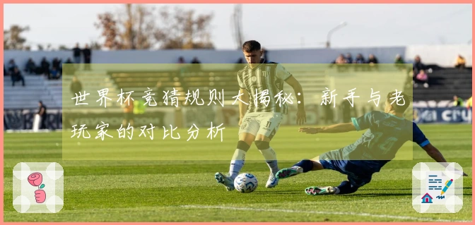 世界杯竞猜规则大揭秘：新手与老玩家的对比分析