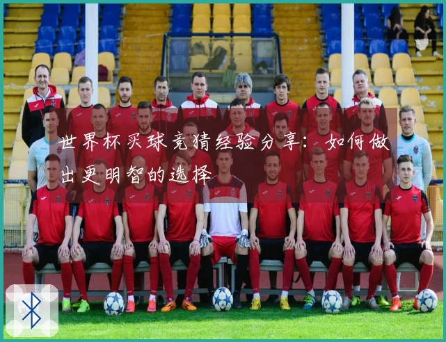 世界杯买球竞猜经验分享：如何做出更明智的选择