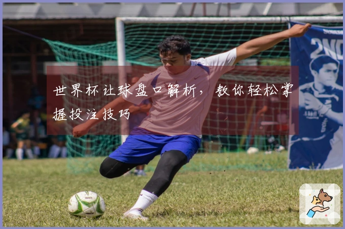 世界杯让球盘口解析，教你轻松掌握投注技巧