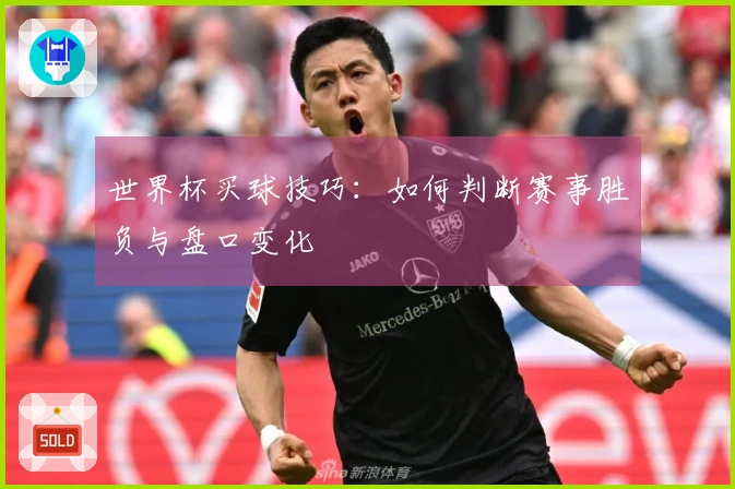 世界杯买球技巧：如何判断赛事胜负与盘口变化