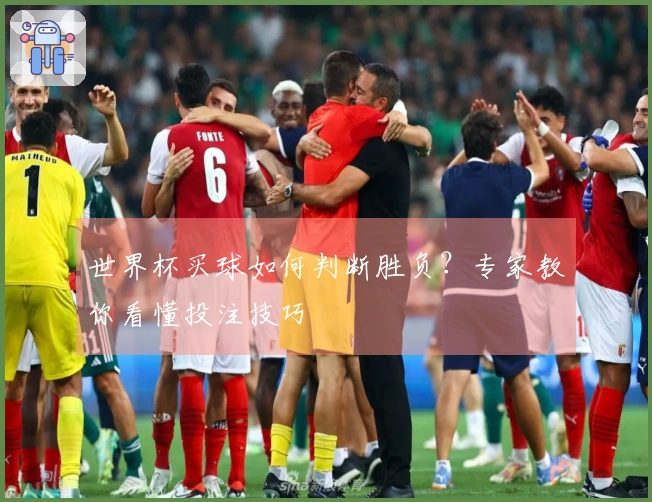 世界杯买球如何判断胜负？专家教你看懂投注技巧
