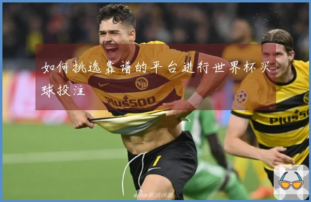 如何挑选靠谱的平台进行世界杯买球投注