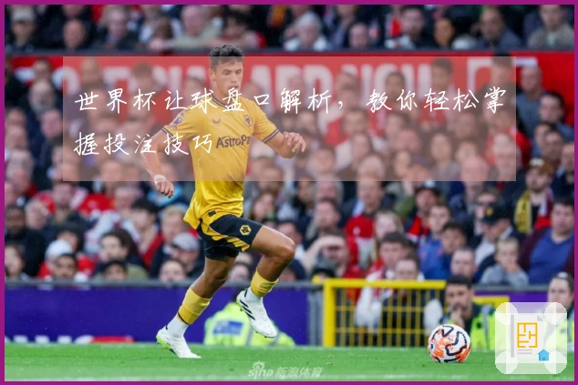 世界杯让球盘口解析，教你轻松掌握投注技巧