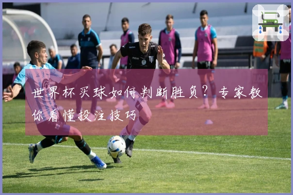 世界杯买球如何判断胜负？专家教你看懂投注技巧