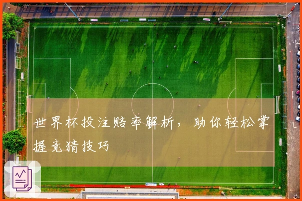 世界杯投注赔率解析，助你轻松掌握竞猜技巧