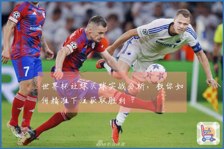 世界杯让球买球实战分析，教你如何精准下注获取胜利