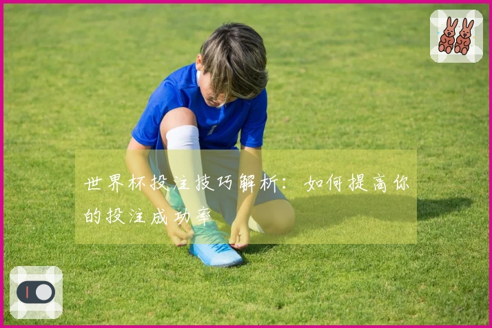 世界杯投注技巧解析：如何提高你的投注成功率