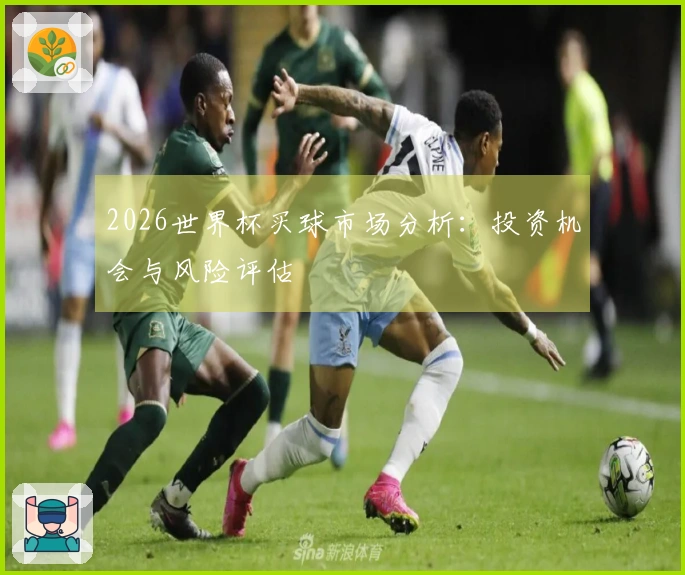 2026世界杯买球市场分析：投资机会与风险评估
