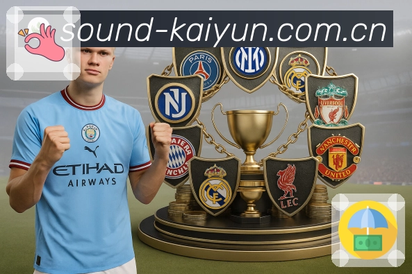 开云App界面展示：赛程、战况与安全