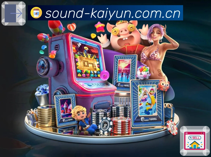 要点解说与提示